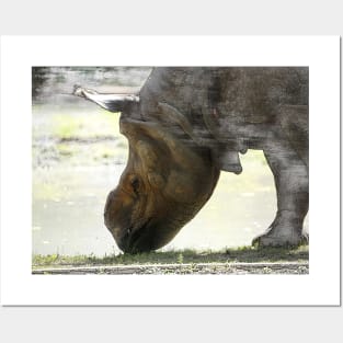 Rhino - portrait Posters and Art